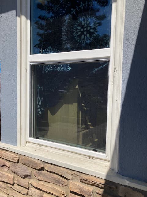 White vinyl single hung window